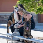 Excellent Dog Training in Huntsville - Helping Dogs and Owners Thrive